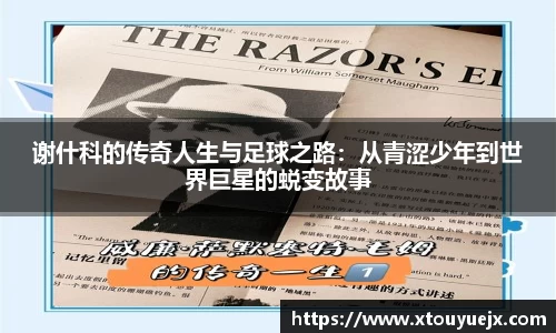 星空.综合体育(中国)官方网站