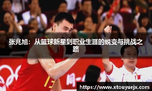 星空综合(中国)官方网站