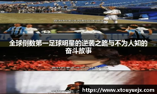 星空.综合体育(中国)官方网站