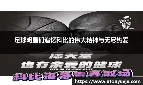 星空.综合体育官网