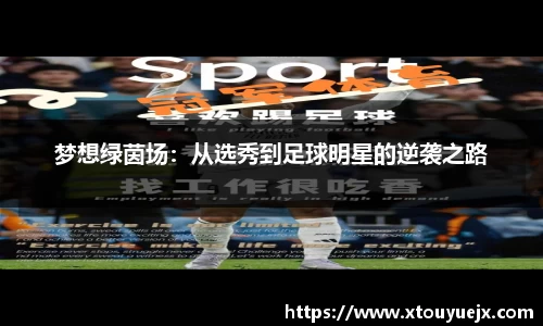 星空综合(中国)官方网站